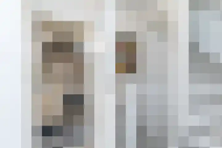 Kapelaan Wijnensingel 94 Beek thumbnail 20