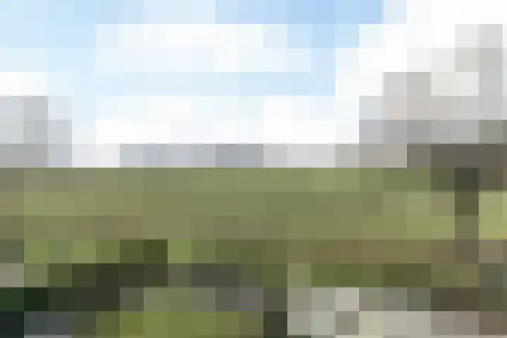 Kapelaan Wijnensingel 94 Beek thumbnail 42
