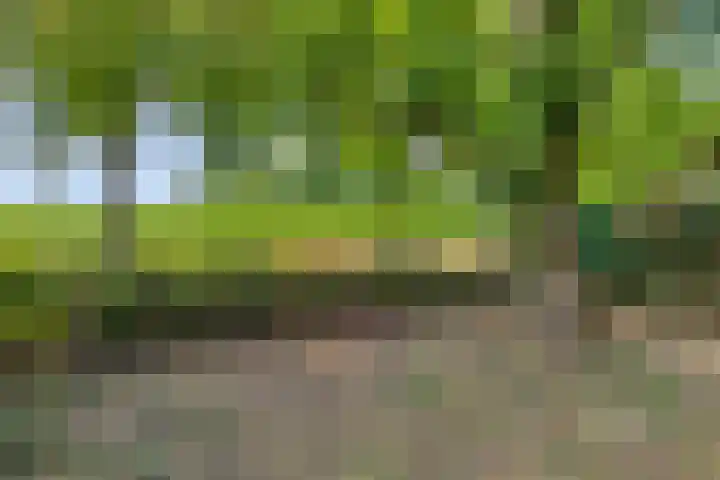 Kapelaan Wijnensingel 96 Beek thumbnail 4