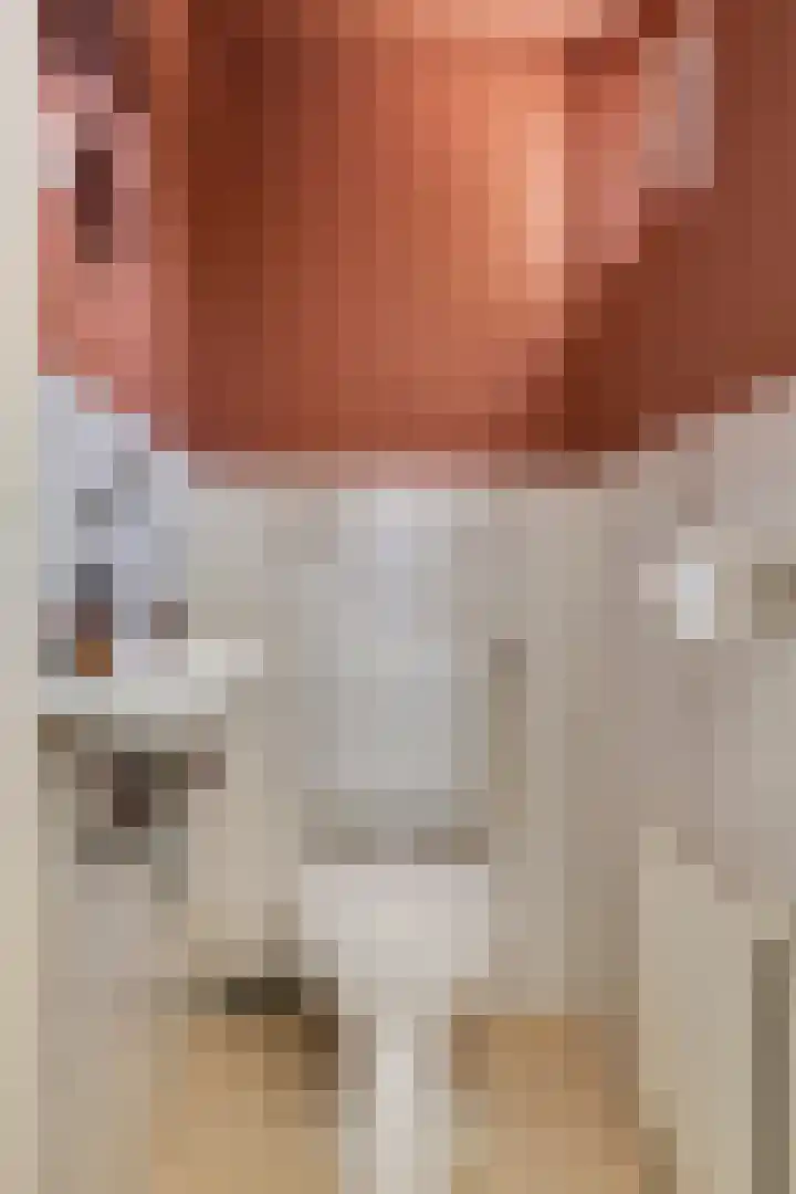 Kapelaanstraat 33 Gemert thumbnail 12