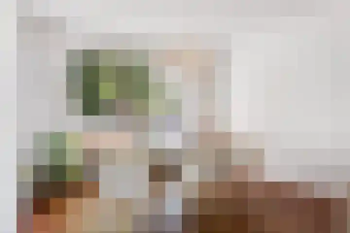 Kapelaanstraat 33 Gemert thumbnail 16