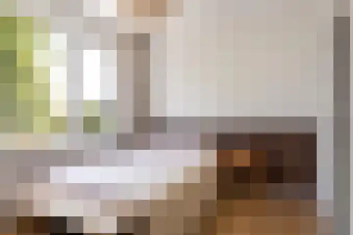 Kapelaanstraat 33 Gemert thumbnail 21