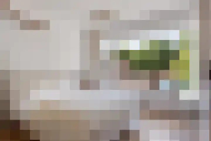 Kapelaanstraat 33 Gemert thumbnail 22