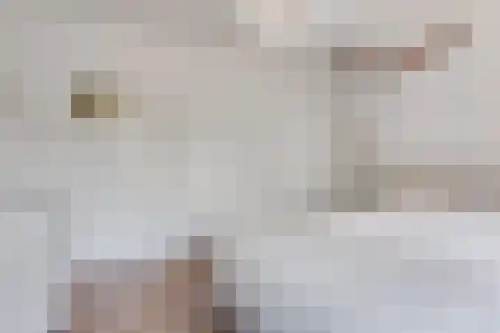 Kapelaanstraat 33 Gemert thumbnail 23