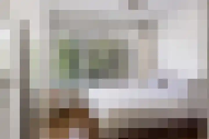 Kapelaanstraat 33 Gemert thumbnail 24