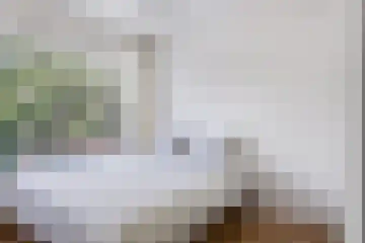Kapelaanstraat 33 Gemert thumbnail 25