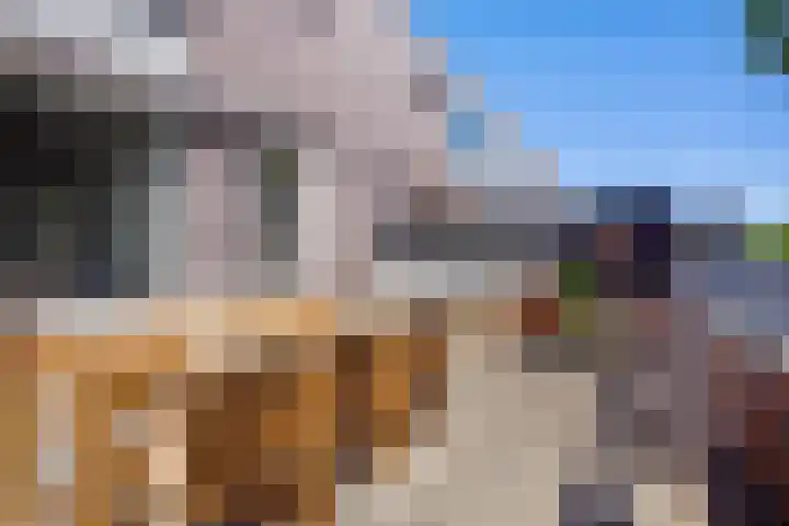 Kapelaanstraat 33 Gemert thumbnail 9