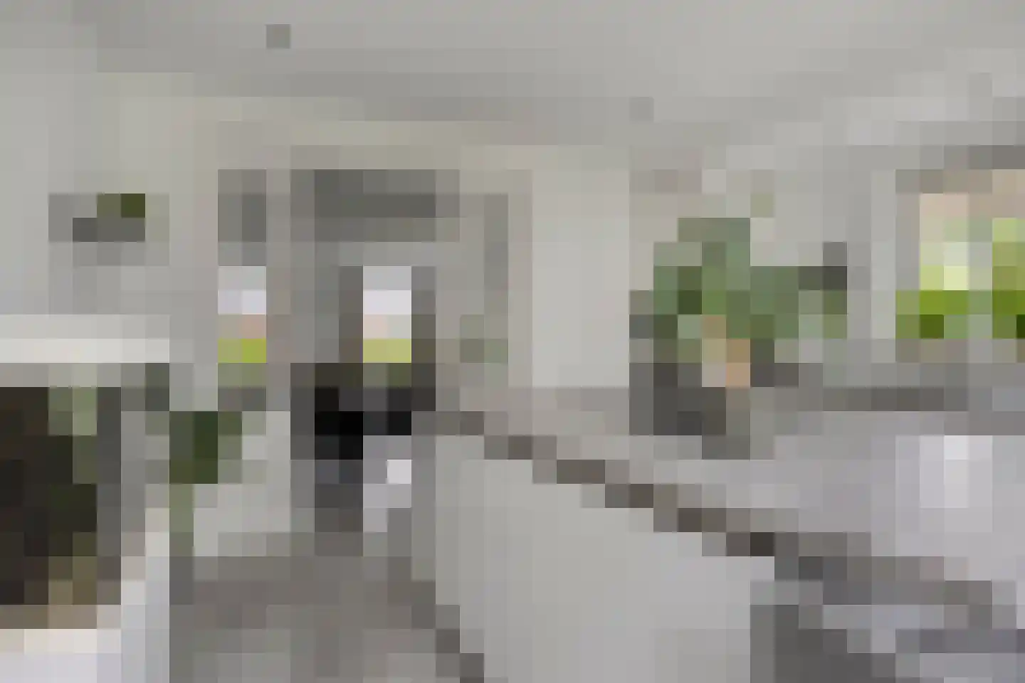 Kapelakker 1 Milheeze thumbnail 11