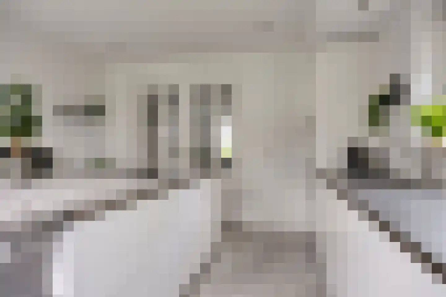 Kapelakker 1 Milheeze thumbnail 12
