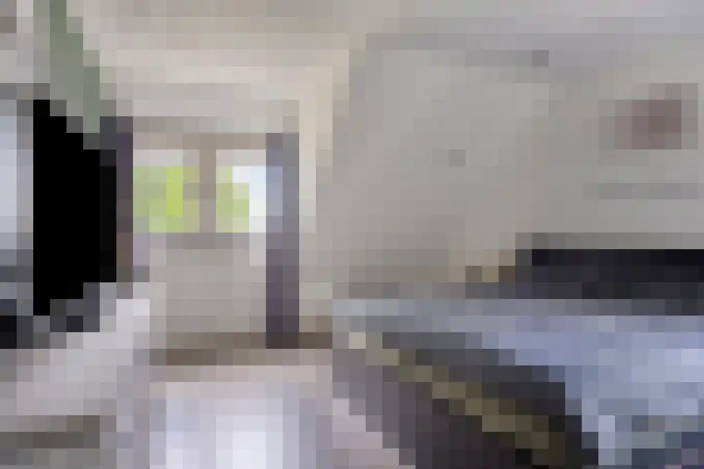 Kapelakker 1 Milheeze thumbnail 15