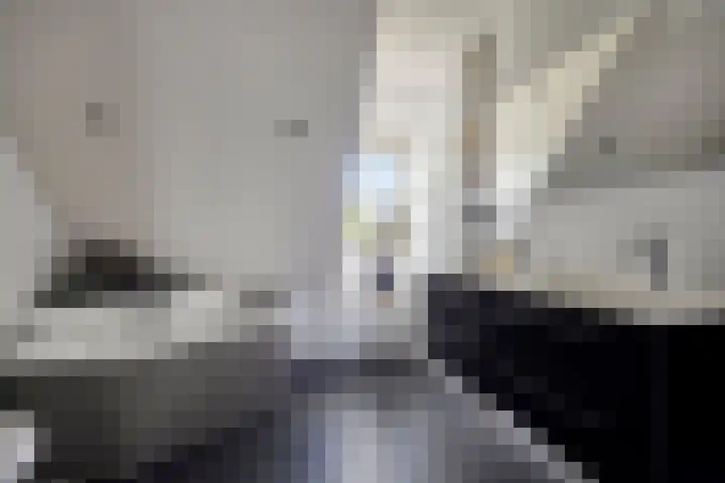 Kapelakker 1 Milheeze thumbnail 21