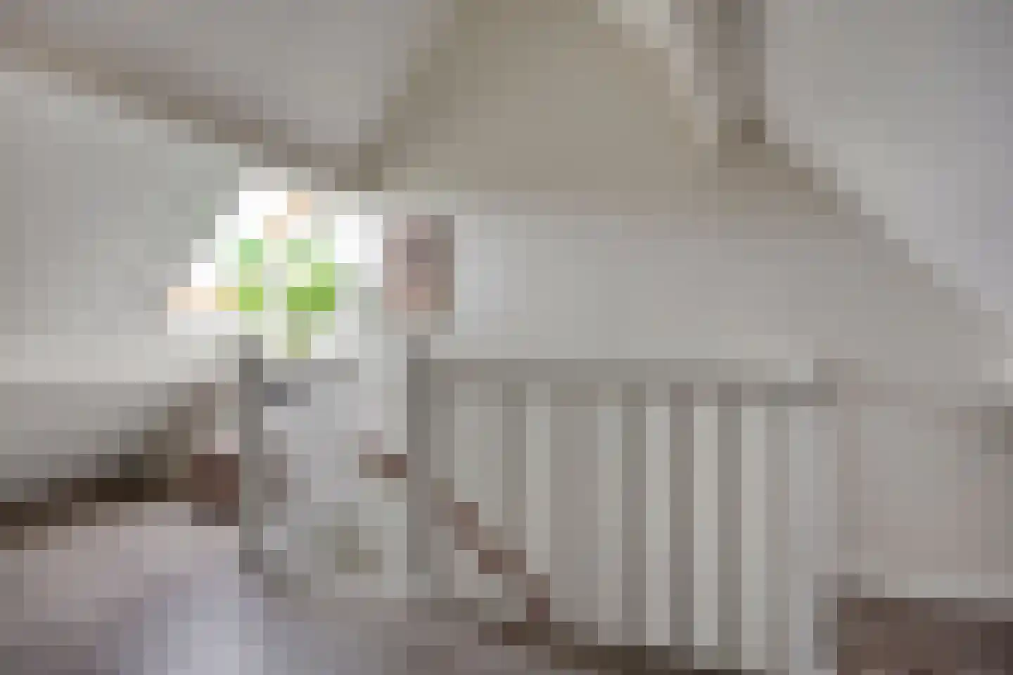 Kapelakker 1 Milheeze thumbnail 23