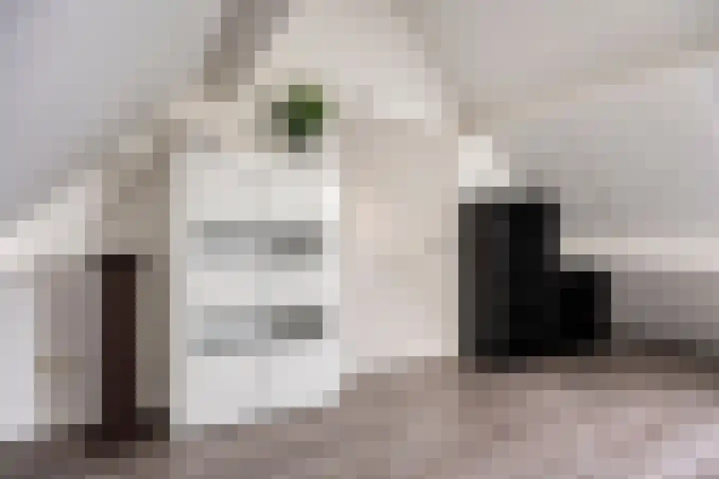 Kapelakker 1 Milheeze thumbnail 24