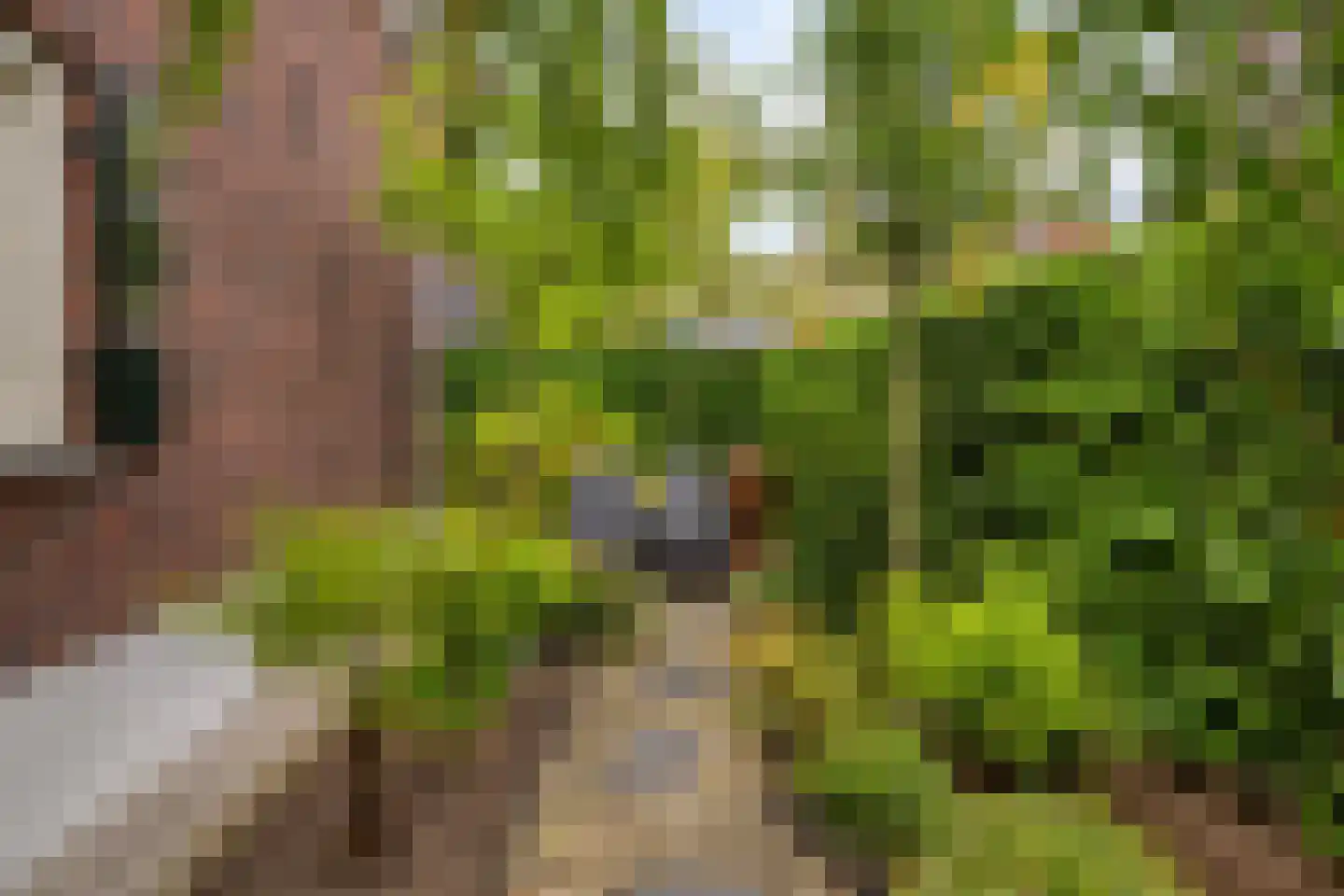 Kapelakker 1 Milheeze thumbnail 26