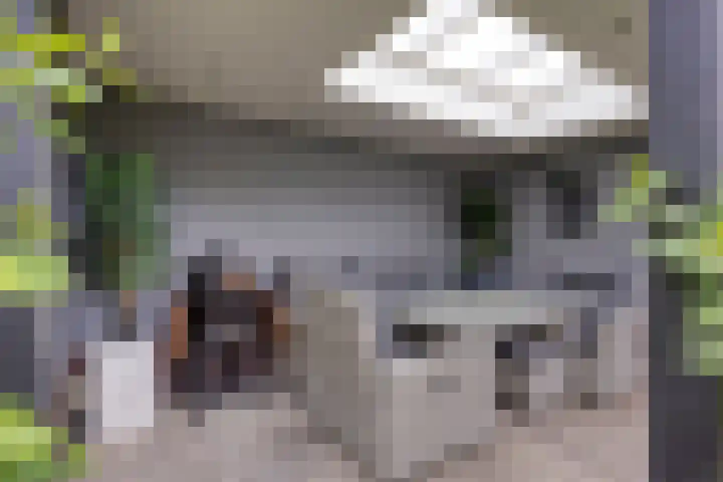 Kapelakker 1 Milheeze thumbnail 28