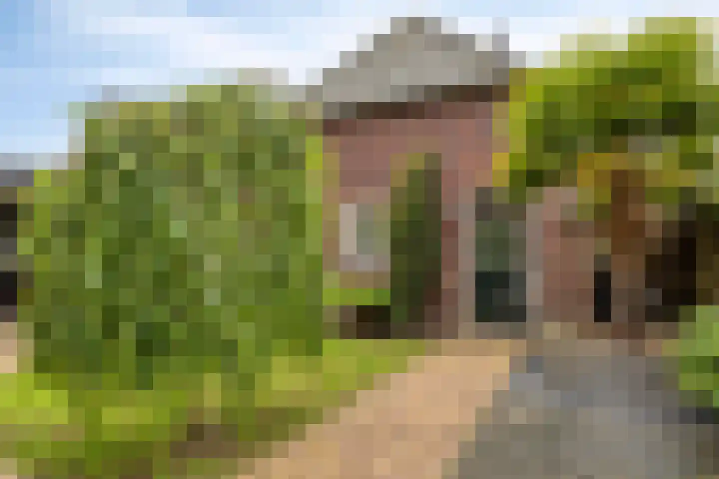 Kapelakker 1 Milheeze thumbnail 30