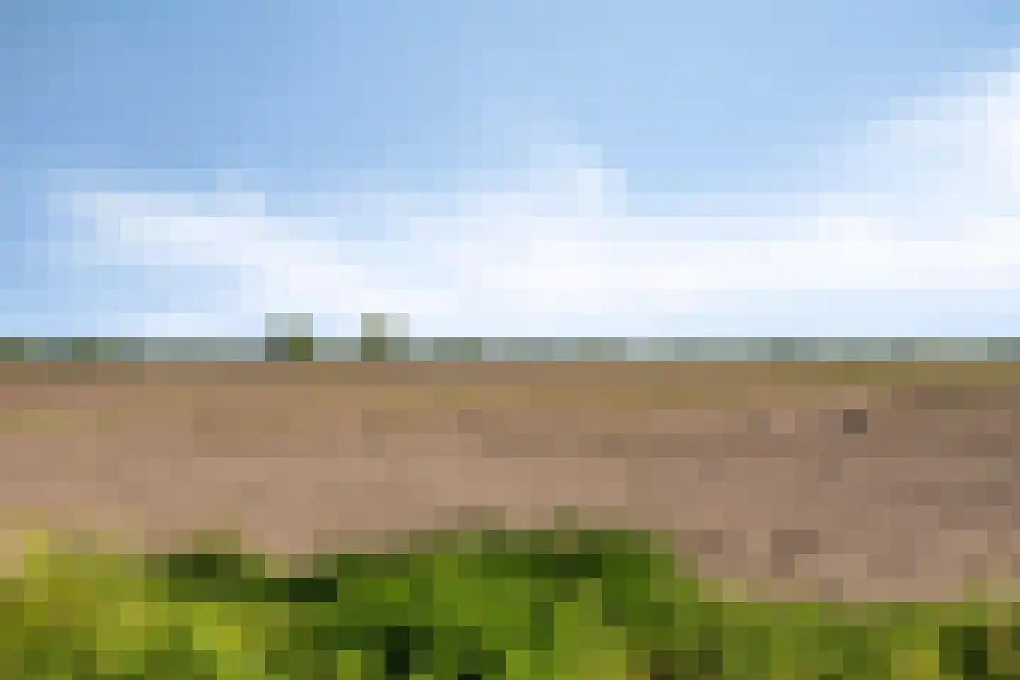 Kapelakker 1 Milheeze thumbnail 38