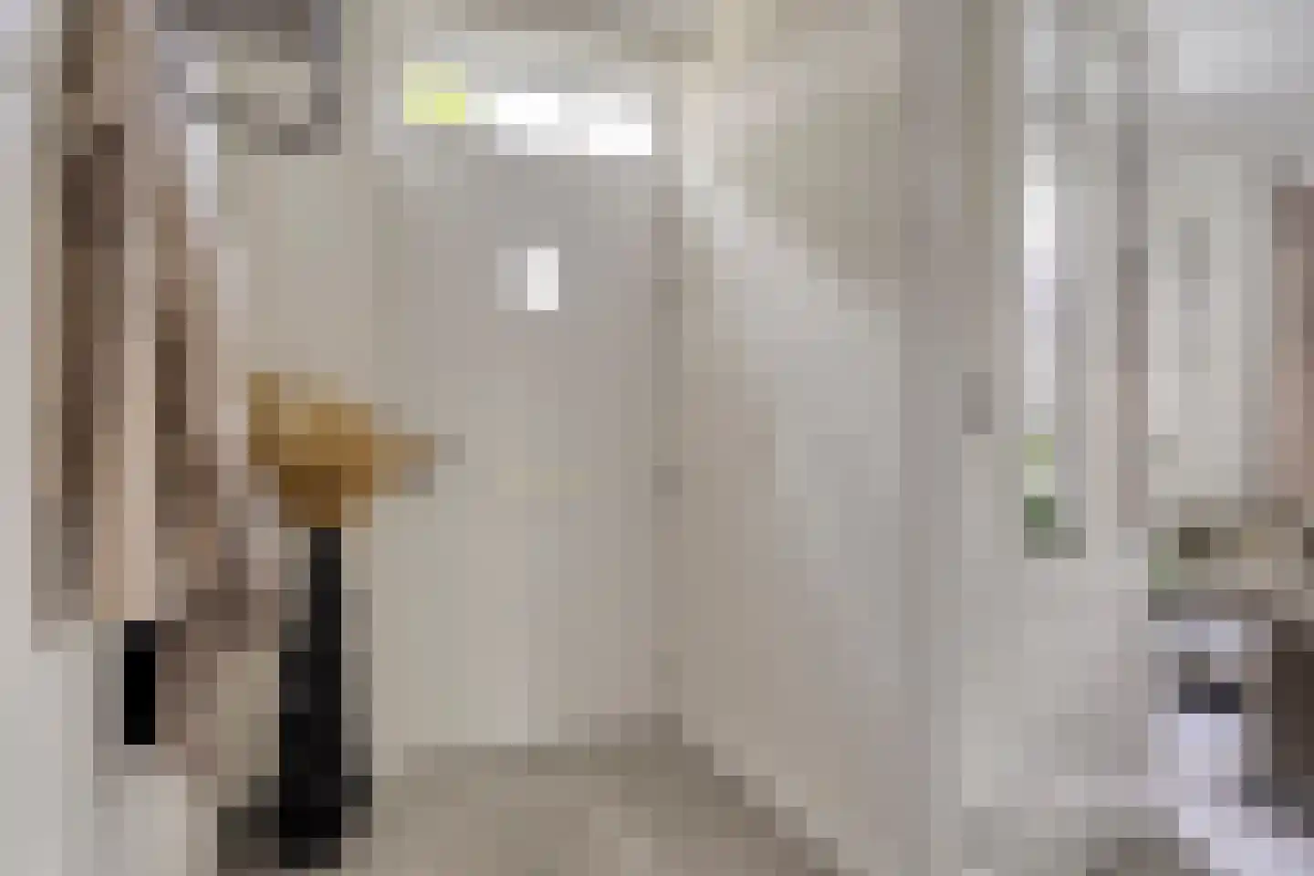 Kapelakker 1 Milheeze thumbnail 4