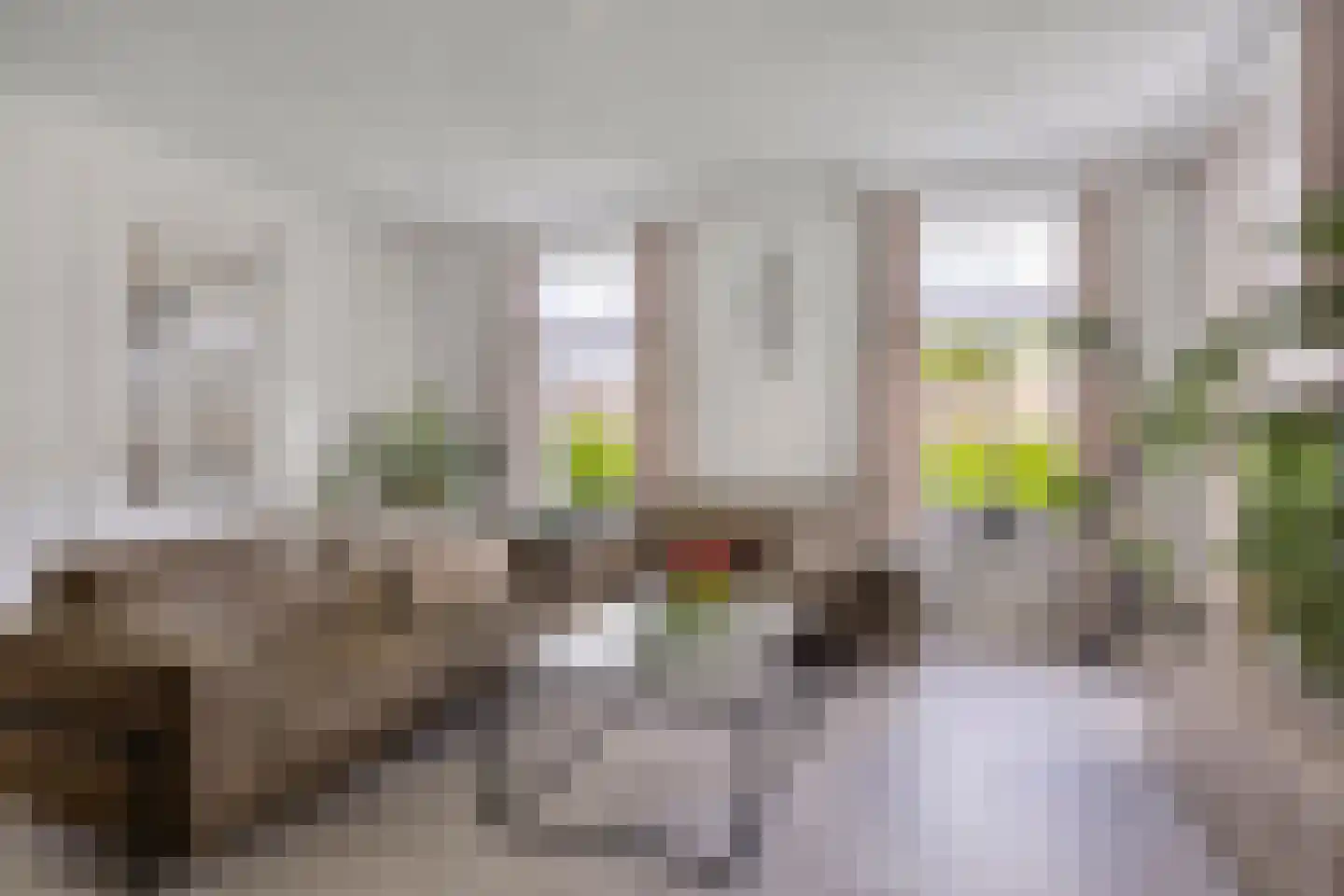 Kapelakker 1 Milheeze thumbnail 5
