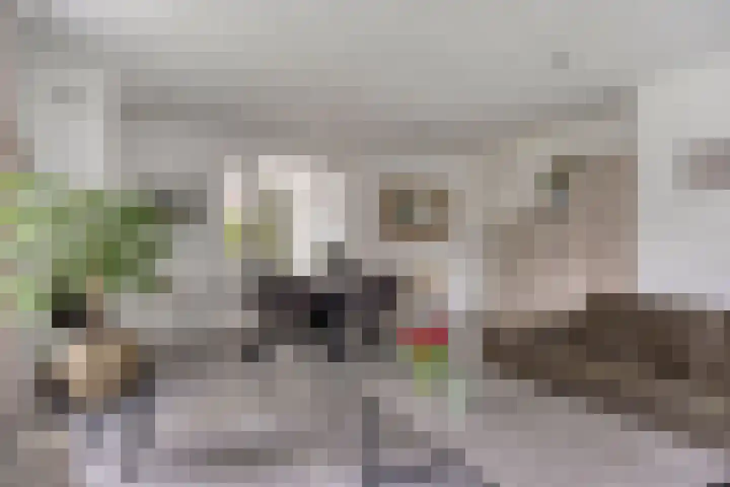 Kapelakker 1 Milheeze thumbnail 7