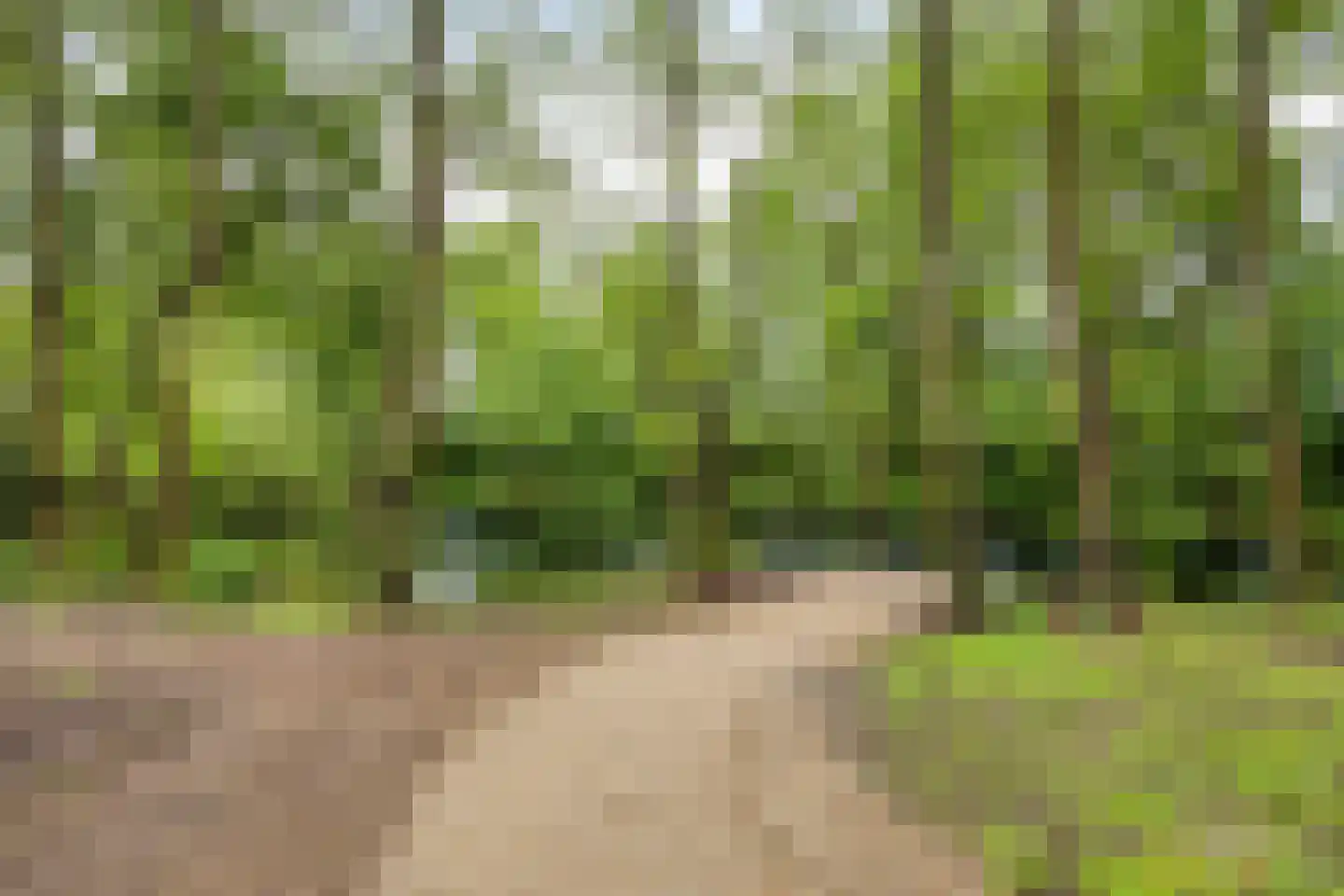 Kapelakker 2 Herpen thumbnail 41