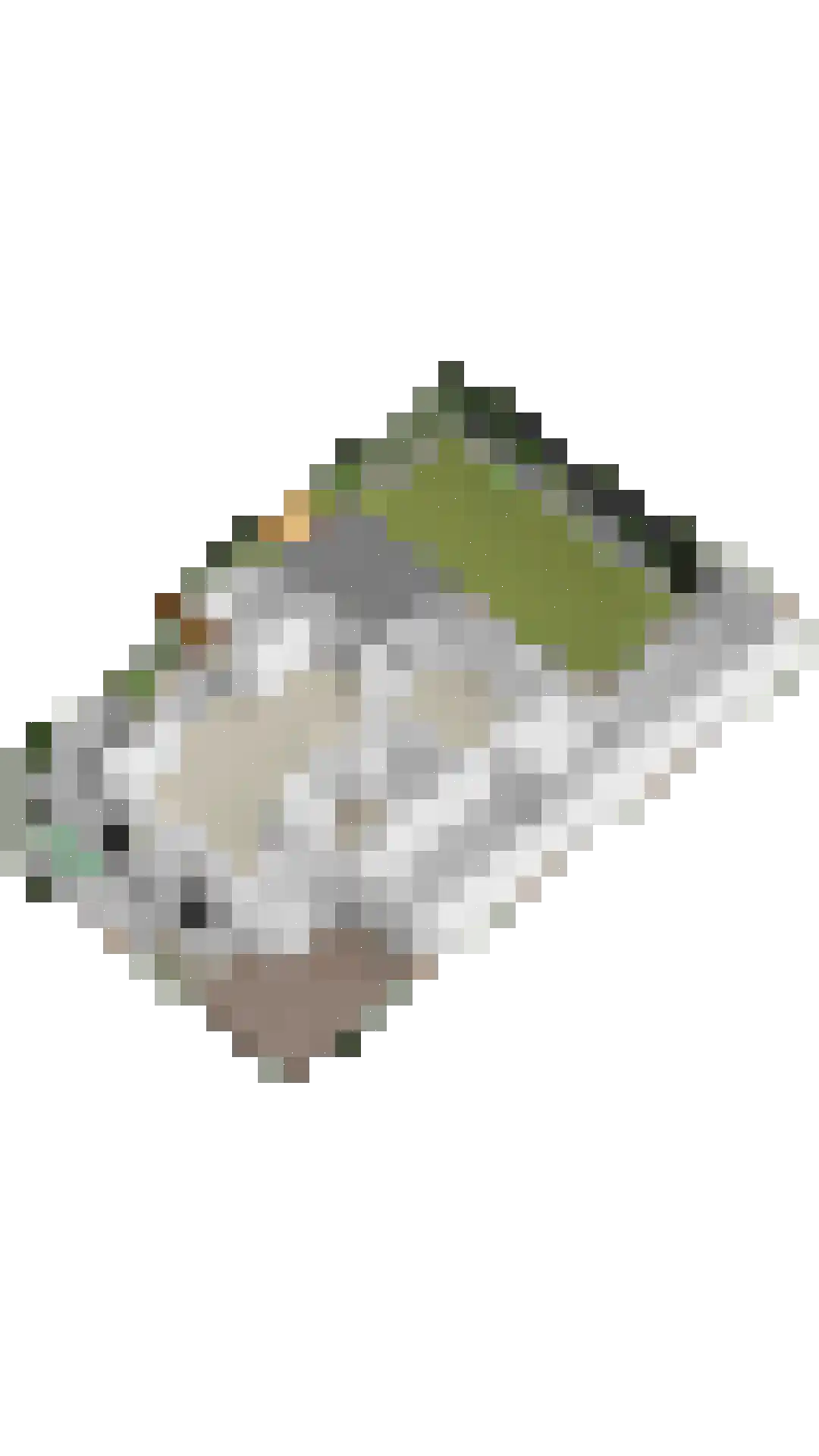 Kapelakker 2 Herpen thumbnail 43