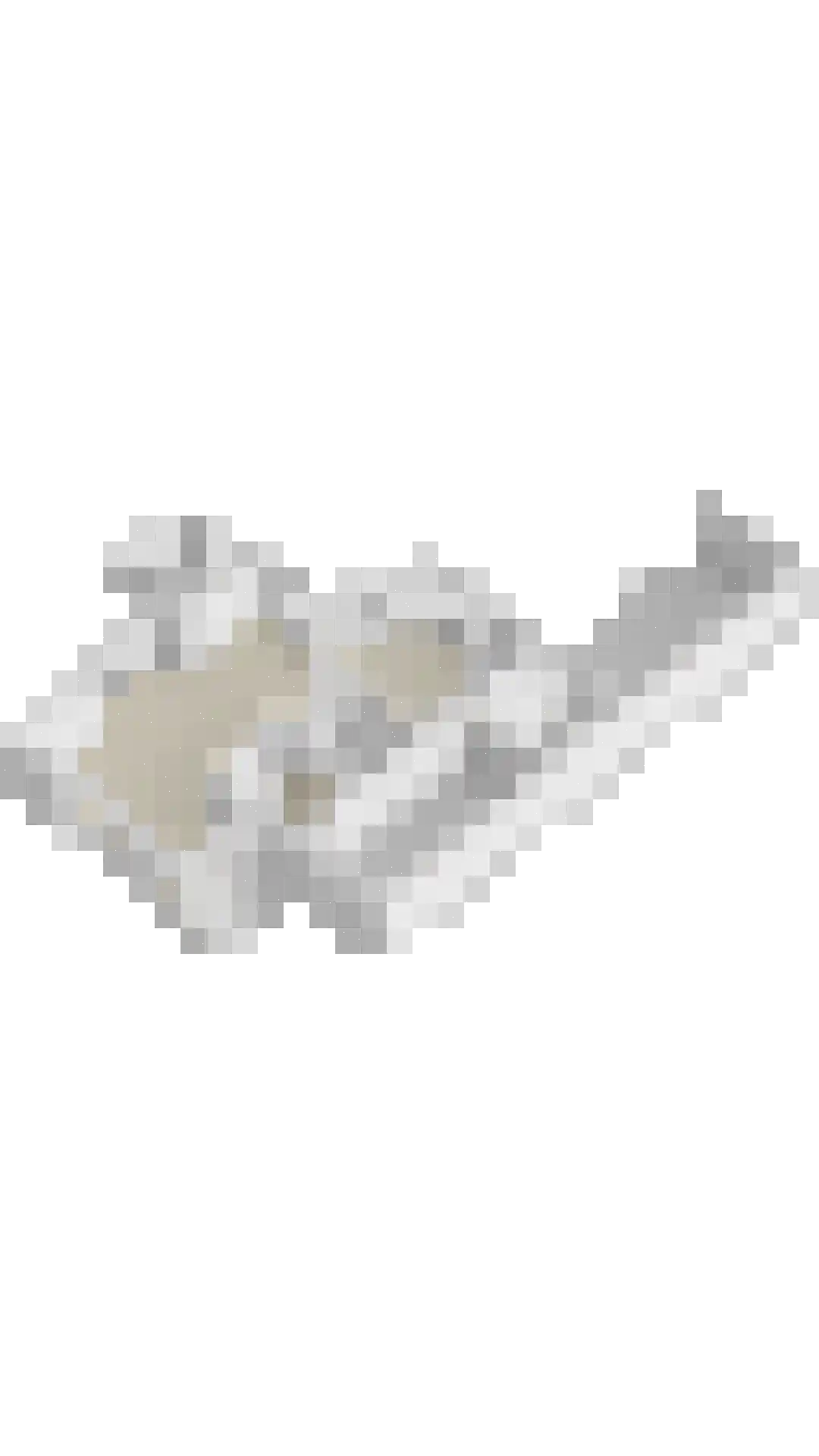 Kapelakker 2 Herpen thumbnail 45