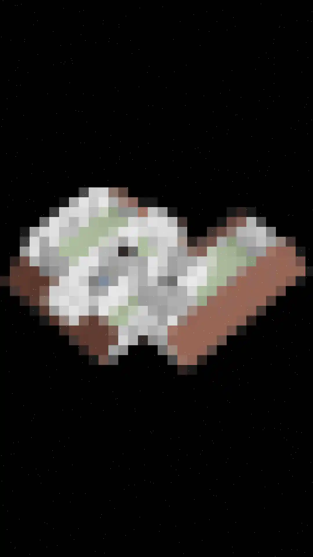 Kapelakker 2 Herpen thumbnail 47