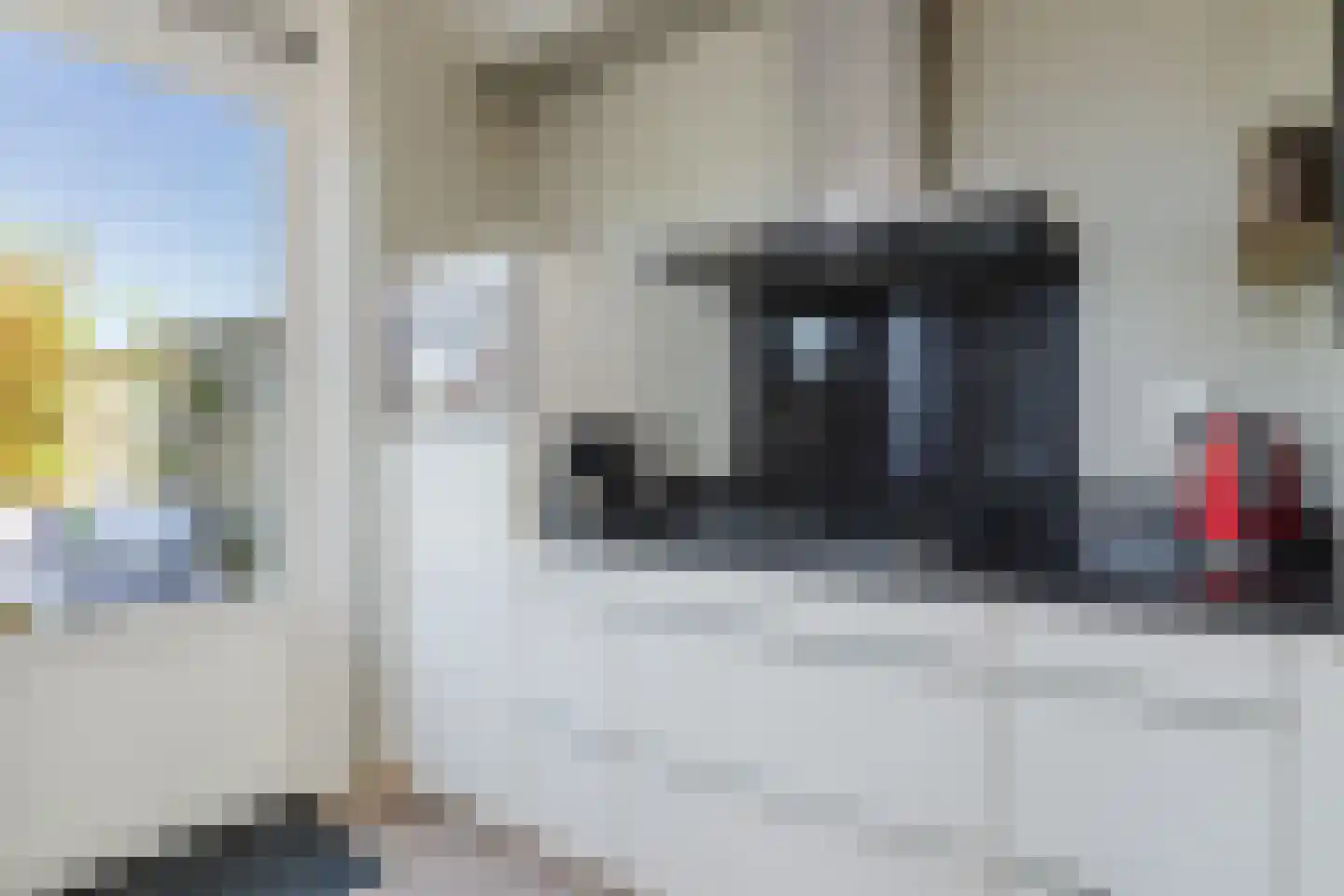 Kapelakker 39 Zundert thumbnail 17