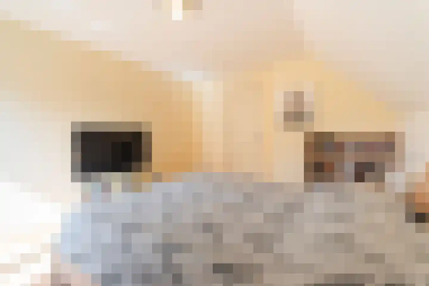 Kapelakker 39 Zundert thumbnail 33