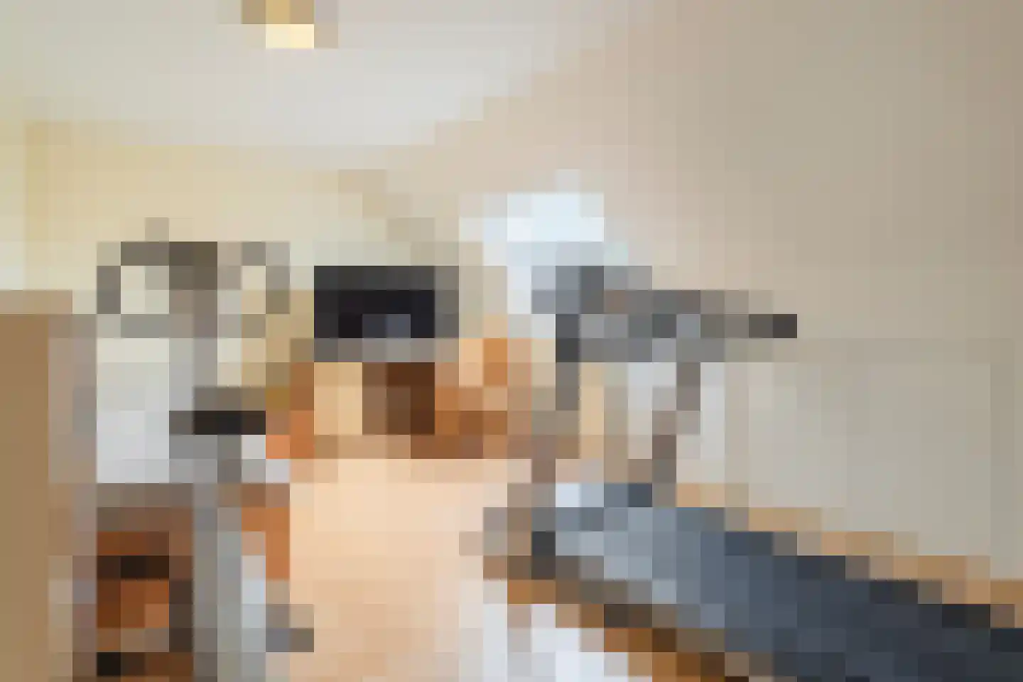 Kapelakker 39 Zundert thumbnail 37