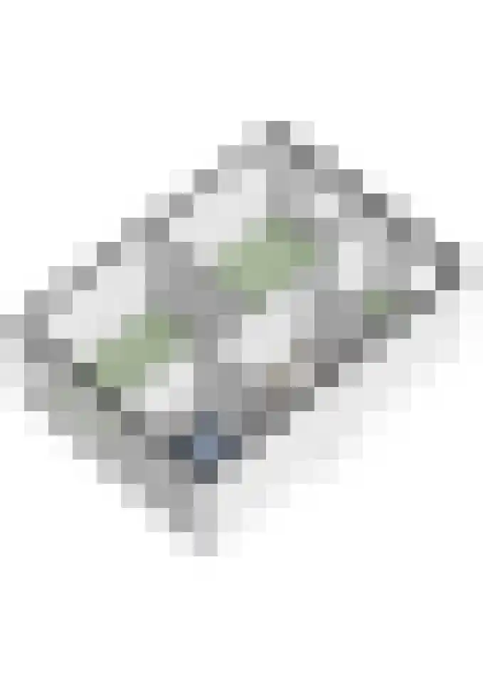 Kapelakker 39 Zundert thumbnail 45