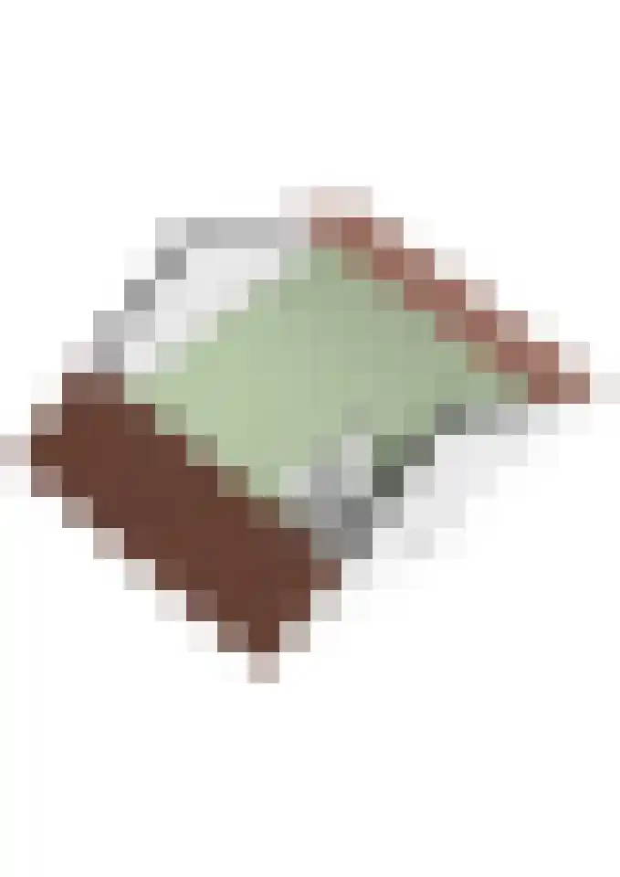 Kapelakker 39 Zundert thumbnail 47