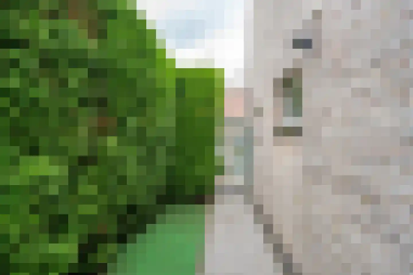 Kapelakker 39 Zundert thumbnail 49