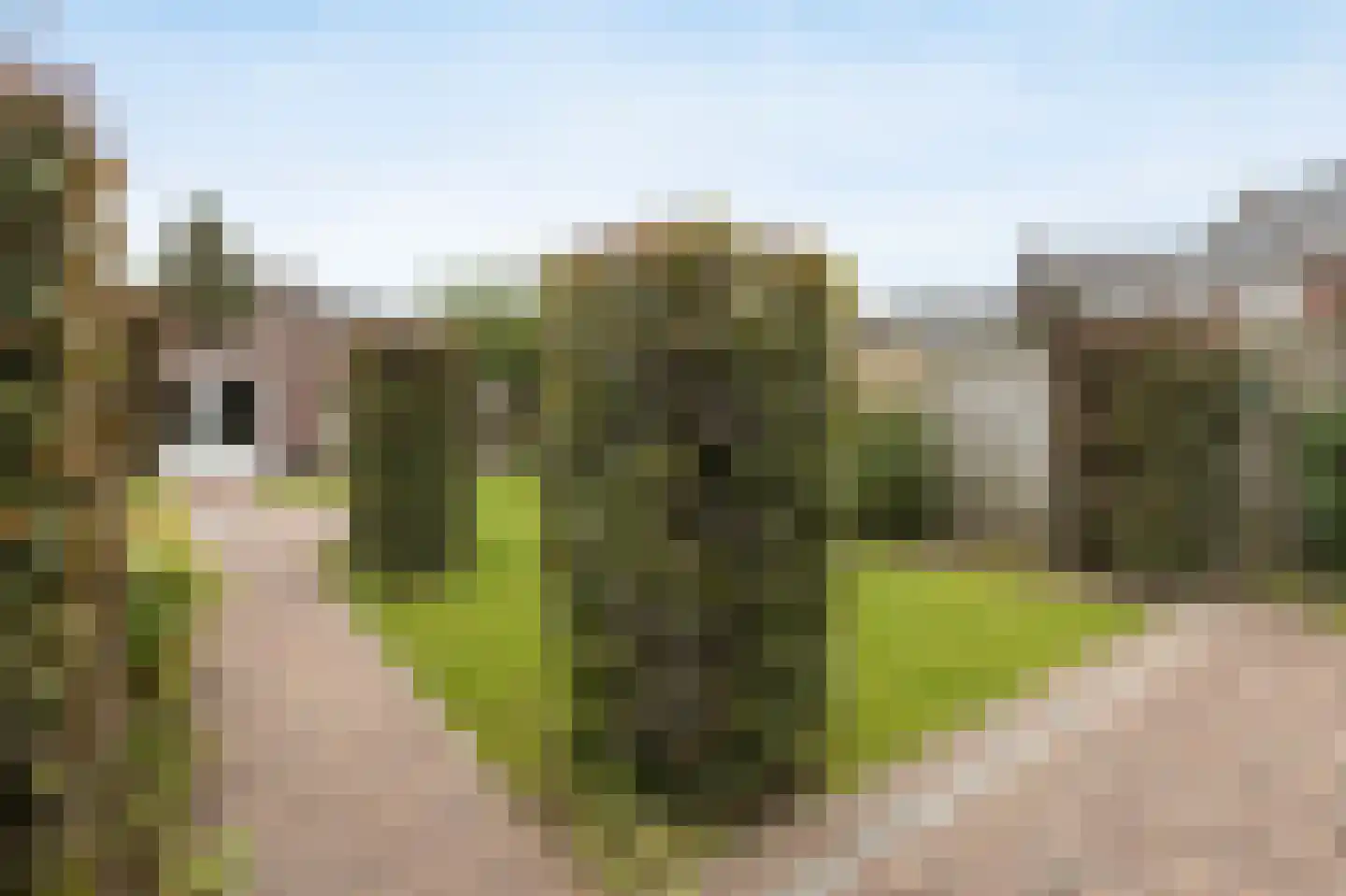 Kapelakker 46 Zundert thumbnail 36