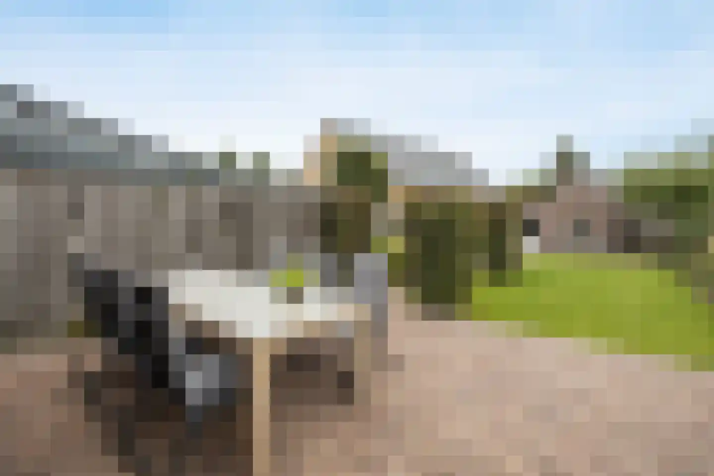 Kapelakker 46 Zundert thumbnail 38
