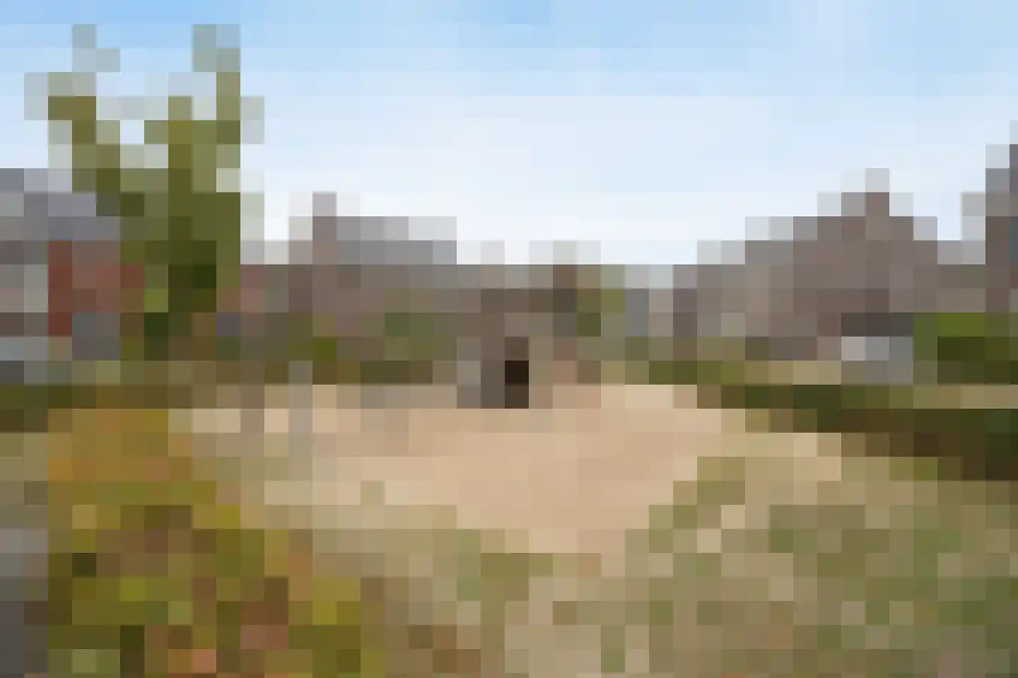 Kapelakker 46 Zundert thumbnail 51