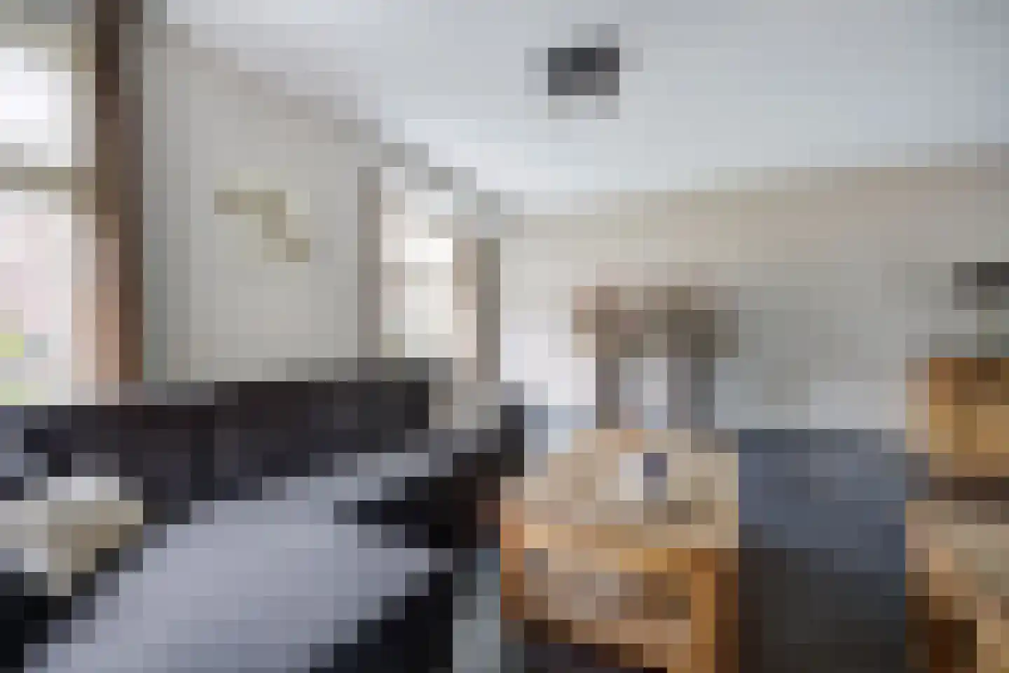 Kapelakker 46 Zundert thumbnail 7