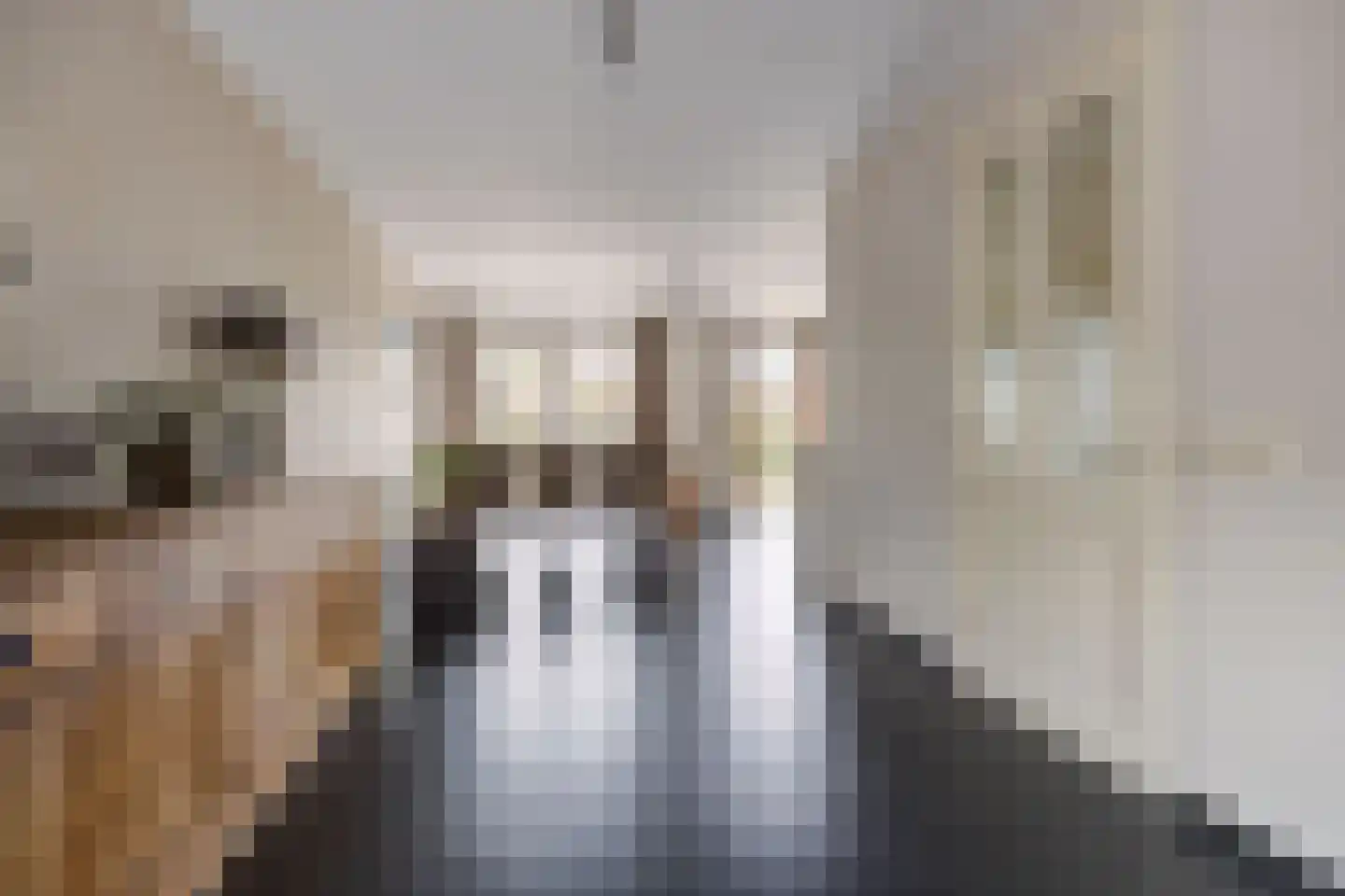 Kapelakker 46 Zundert thumbnail 9