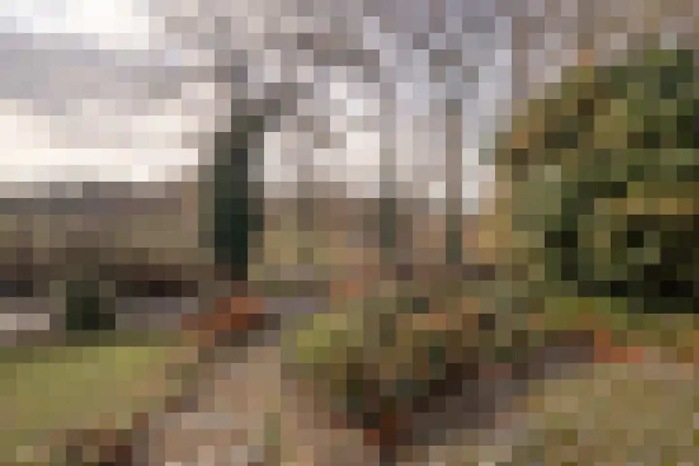 Kapelbergweg 23 Stein thumbnail 22