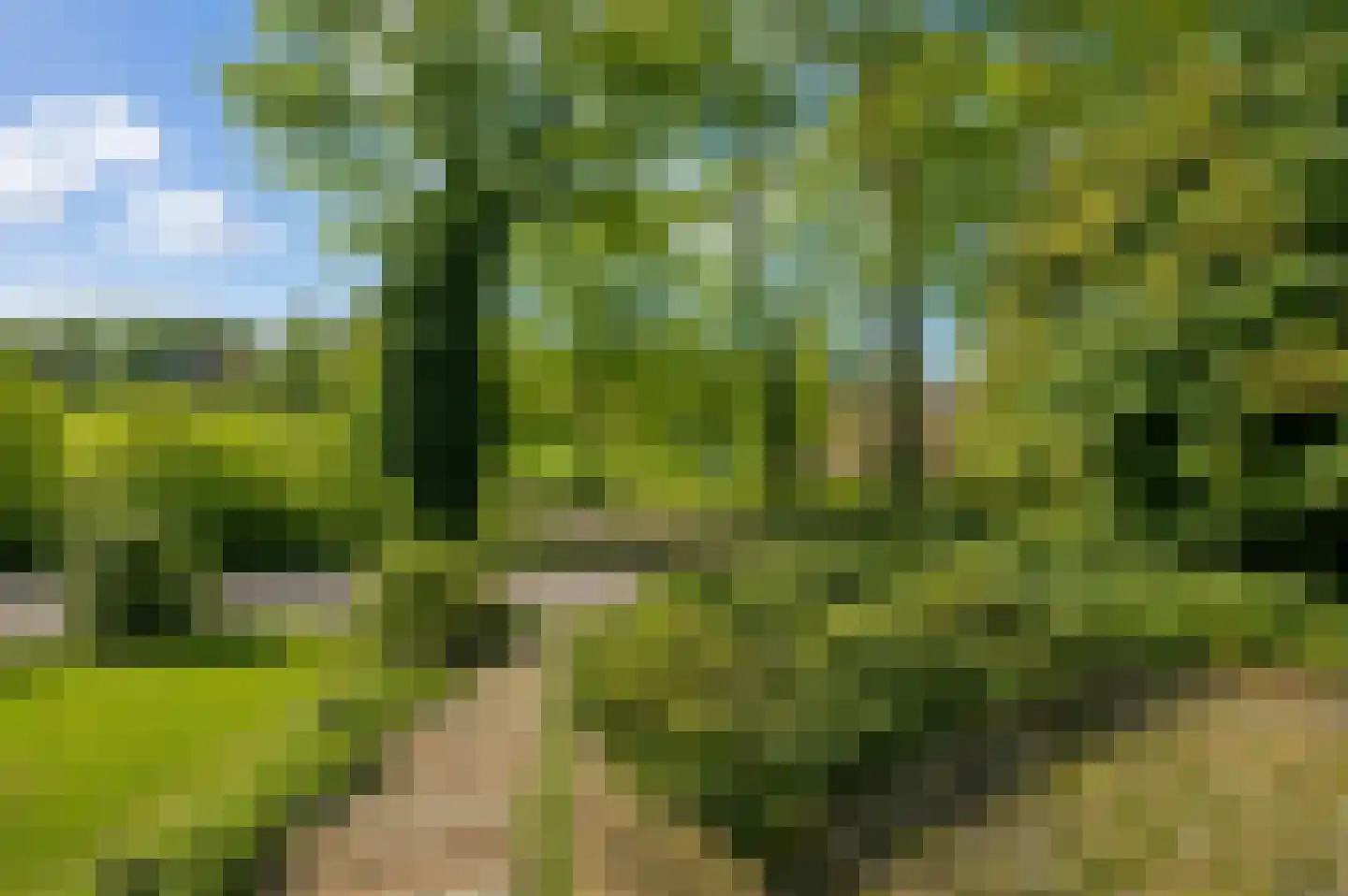 Kapelbergweg 23 Stein thumbnail 22