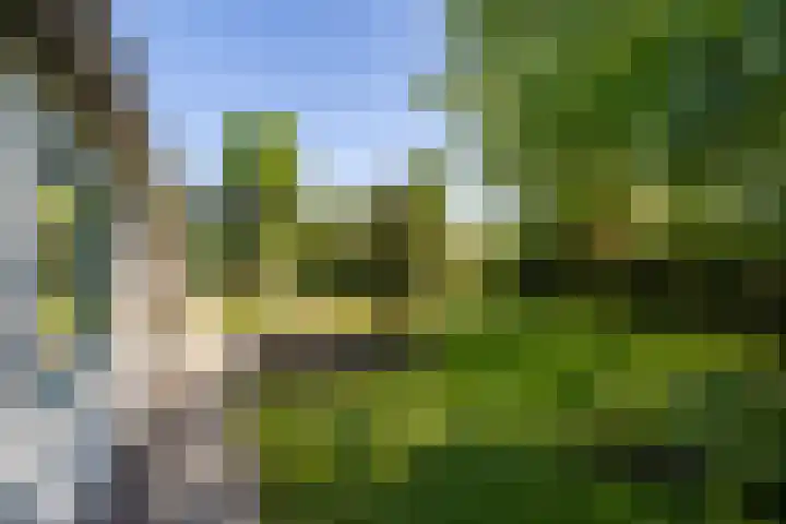 Kapeldijk 11 a Harfsen thumbnail 19