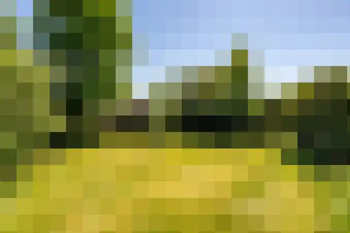 Kapeldijk 11 a Harfsen thumbnail 22