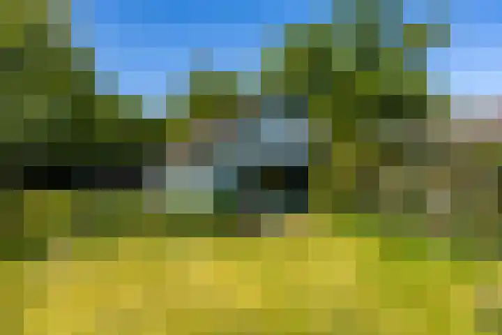 Kapeldijk 11 a Harfsen thumbnail 23