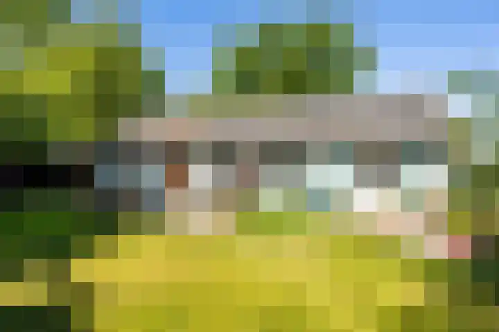 Kapeldijk 11 a Harfsen thumbnail 24