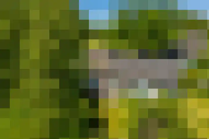 Kapeldijk 11 a Harfsen thumbnail 25