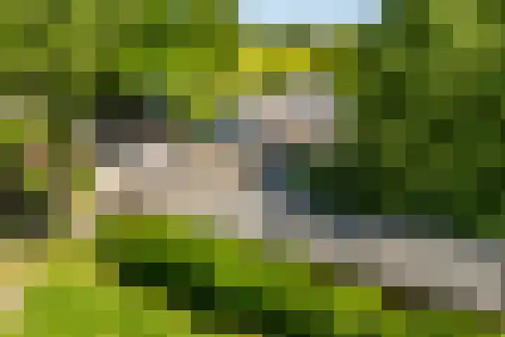 Kapeldijk 11 a Harfsen thumbnail 27