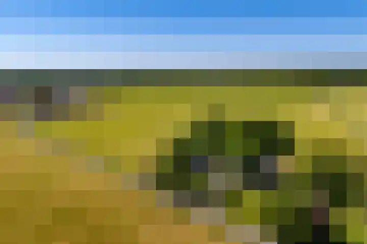 Kapeldijk 11 a Harfsen thumbnail 29