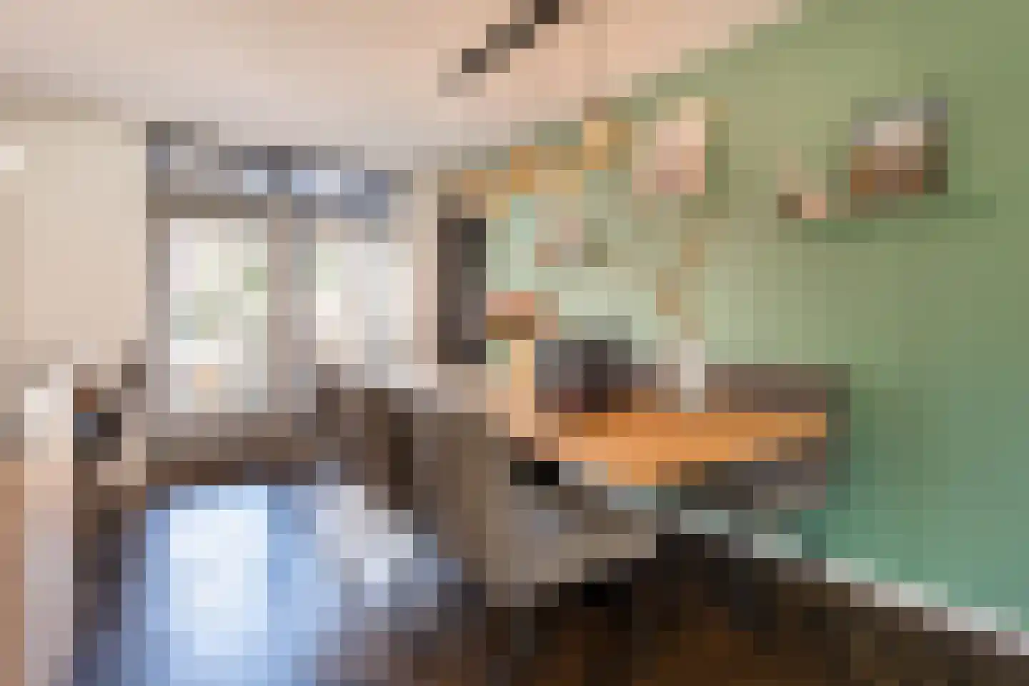 Kapeldreef 10 Huijbergen thumbnail 11