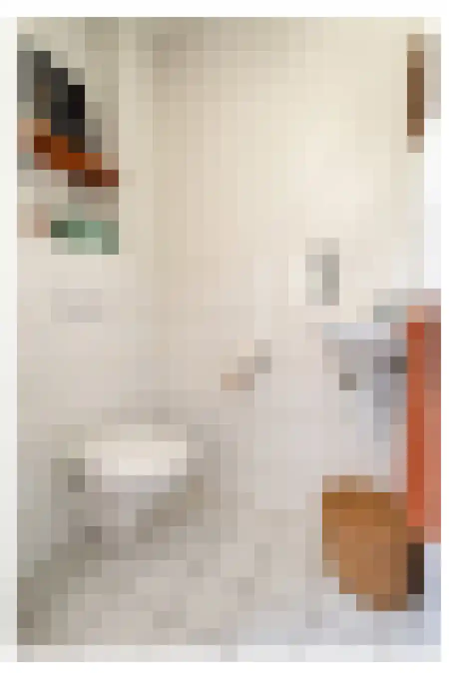 Kapeldreef 10 Huijbergen thumbnail 21